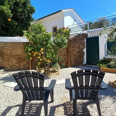 Quinta Do Ti Vasco Apartment Pedrogao Grande Exterior photo