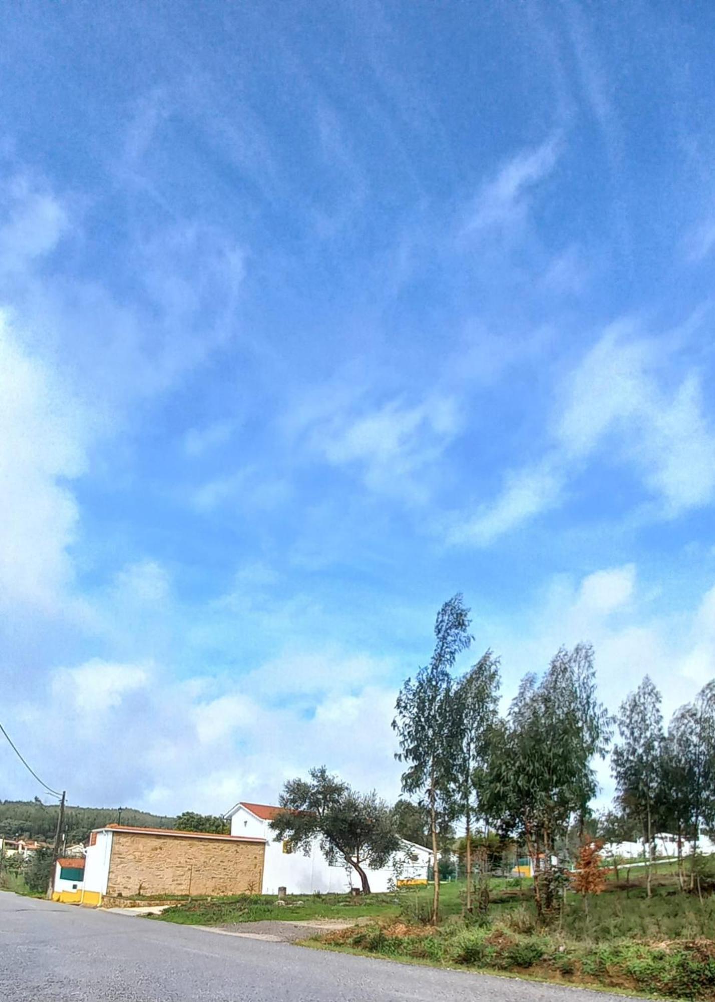 Quinta Do Ti Vasco Apartment